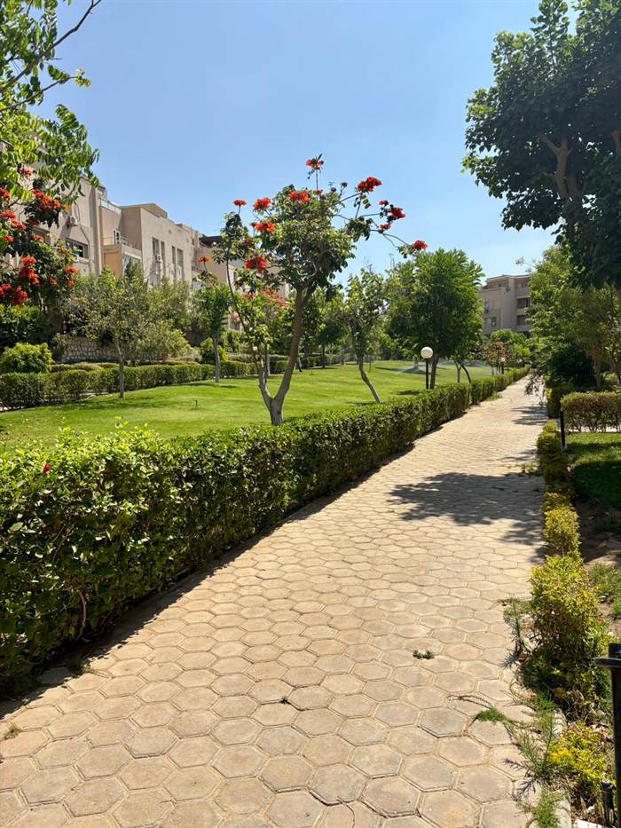 Tree-lined pathway through the compound gardens