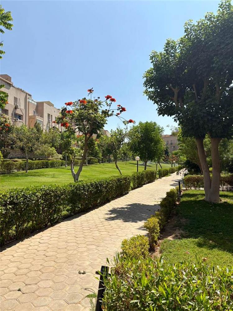Landscaped pathway and flowering trees inside the compound
