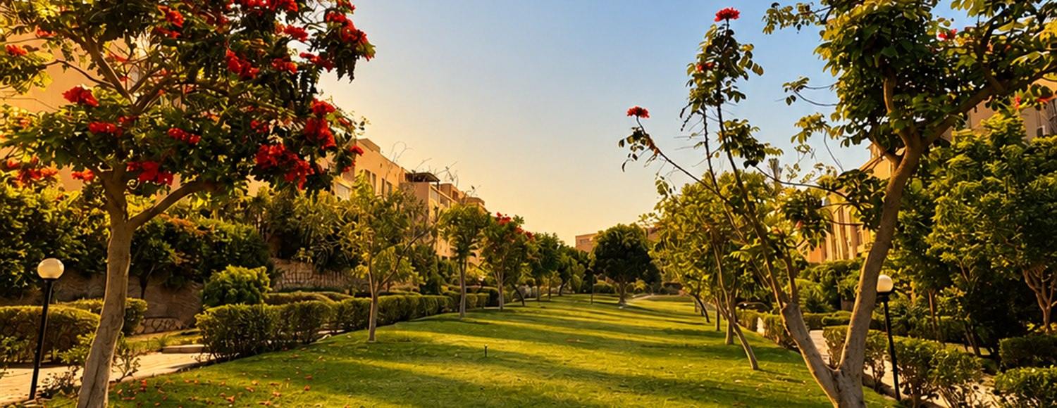 The compound gardens late in the afternoon, long shadows across the lawn and a flame tree in flower