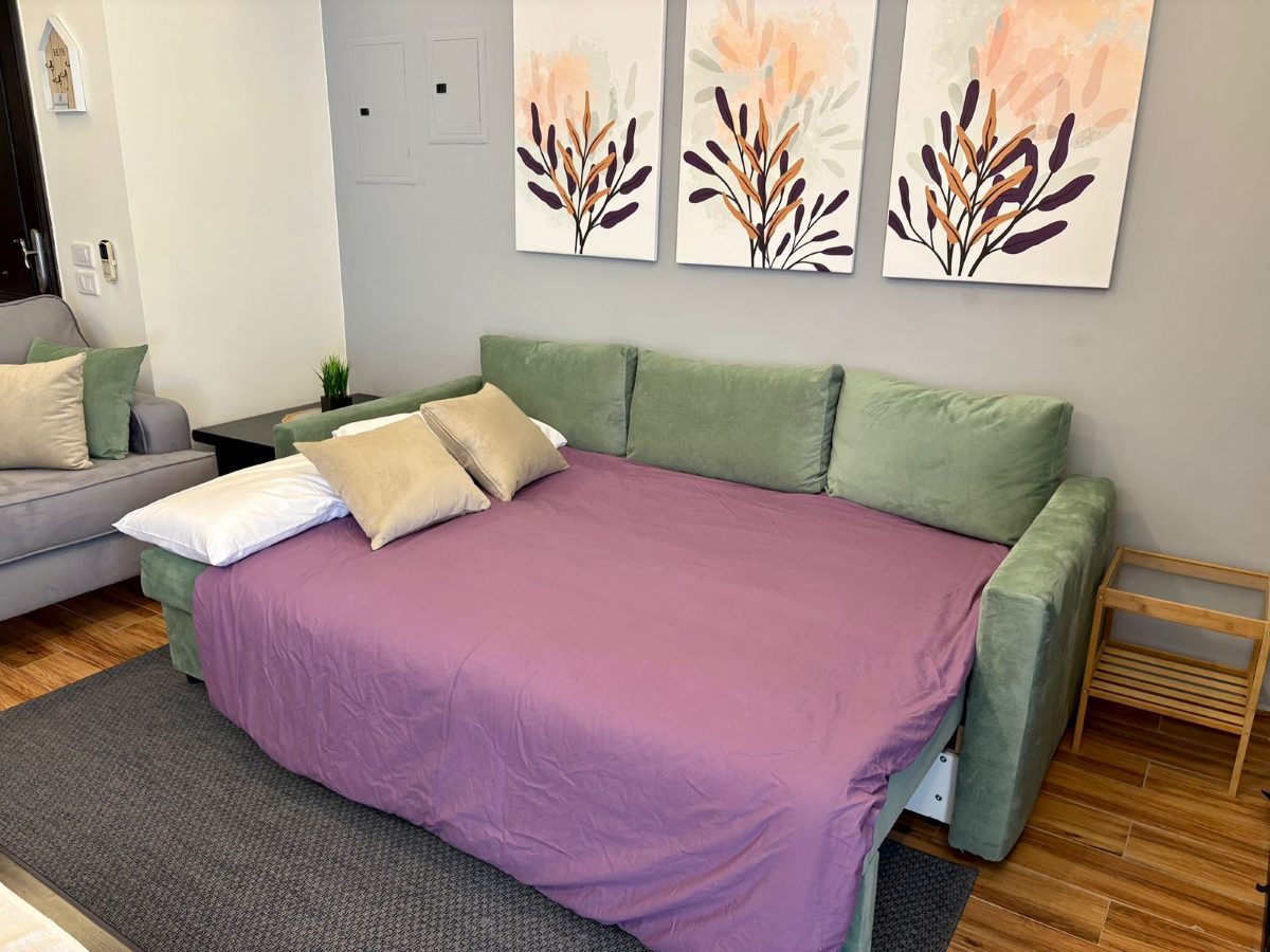 The green sofa opened out into a bed