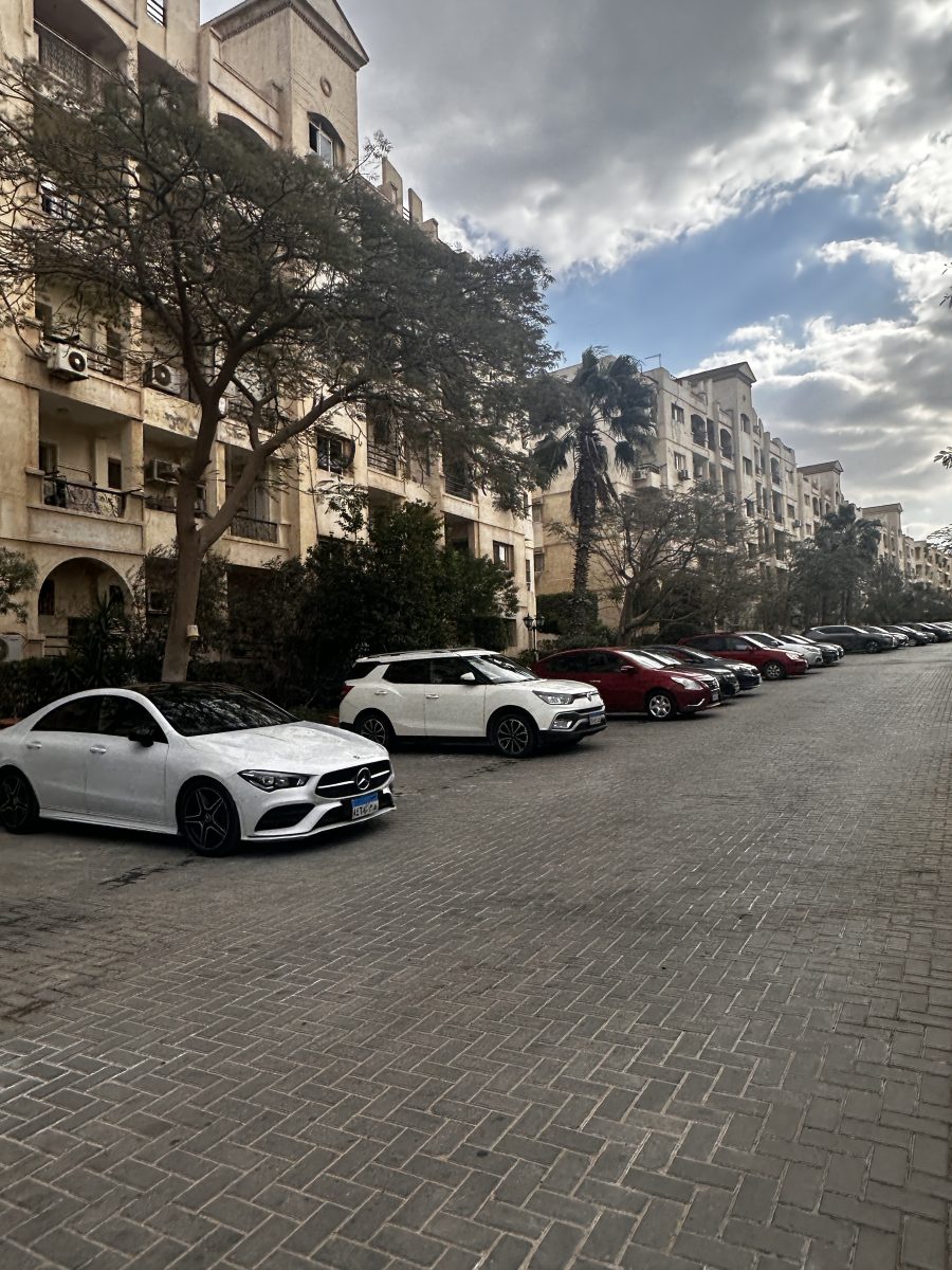 A wider view of the residential street and roadside parking inside Zayed 2000.